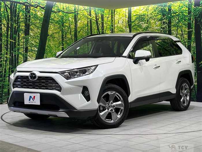 2019 Toyota RAV4