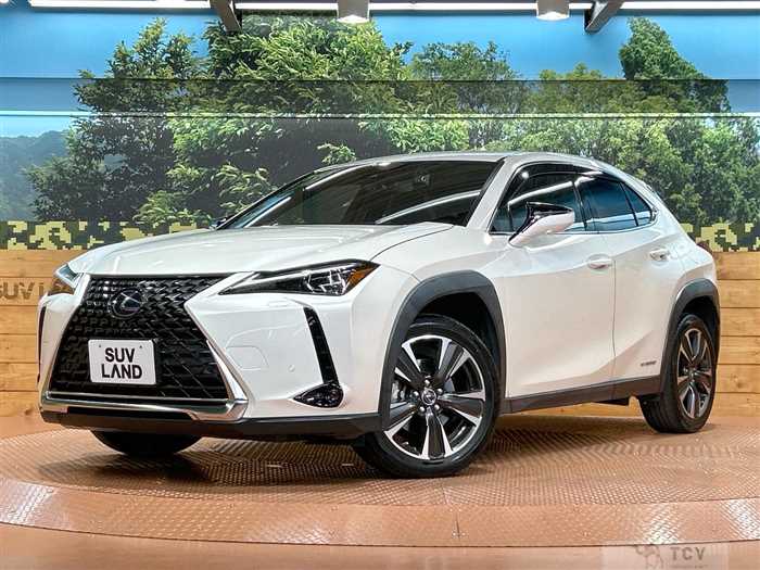 2022 Lexus Other