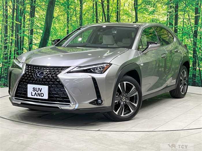 2019 Lexus Other