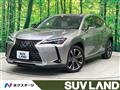 2019 Lexus Other