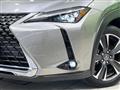 2019 Lexus Other