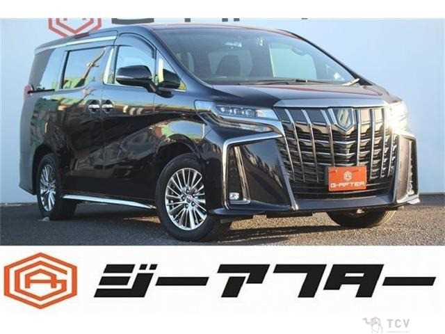 2021 Toyota Alphard G