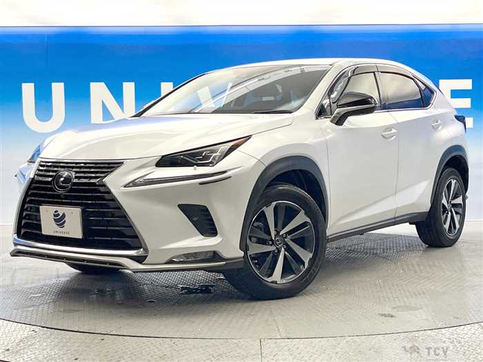 2019 Lexus NX