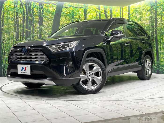 2019 Toyota RAV4