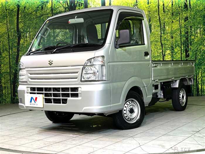 2019 Suzuki Carry Truck