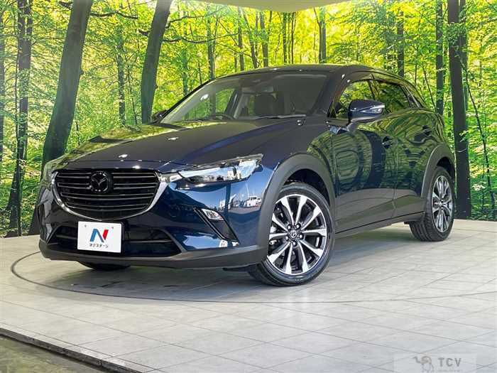 2019 Mazda CX-3