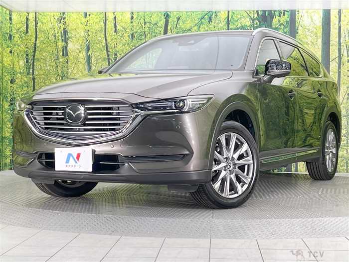 2019 Mazda CX-8