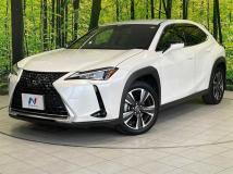 2019 Lexus Other