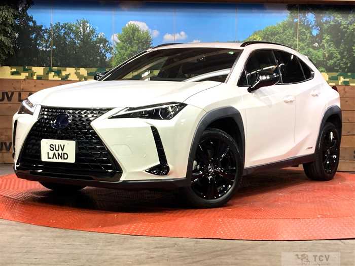 2021 Lexus Other