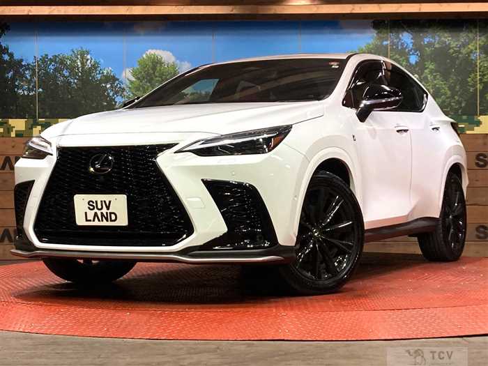 2023 Lexus NX