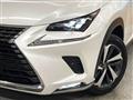 2018 Lexus NX