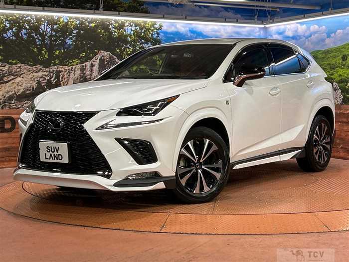 2019 Lexus NX