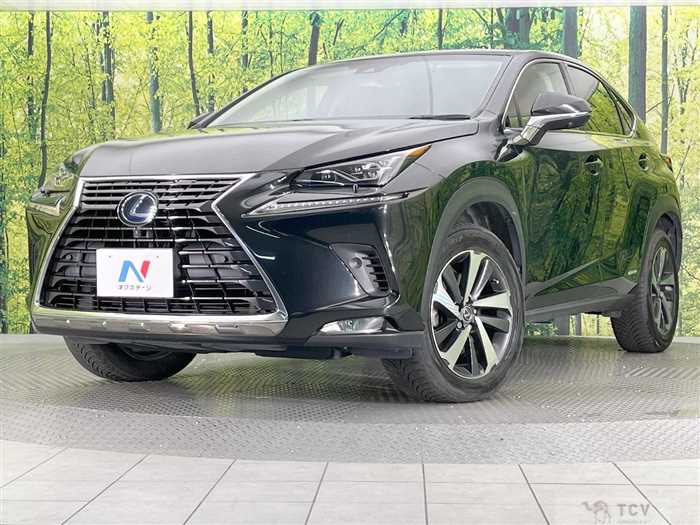 2018 Lexus NX