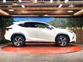 2018 Lexus NX