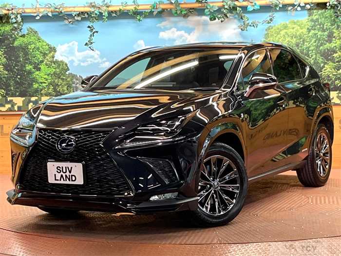 2020 Lexus NX