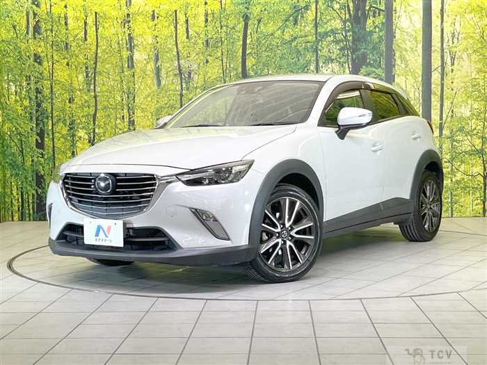 2015 Mazda CX-3