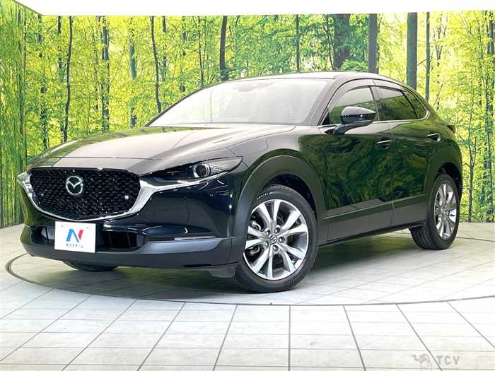 2019 Mazda Mazda Others