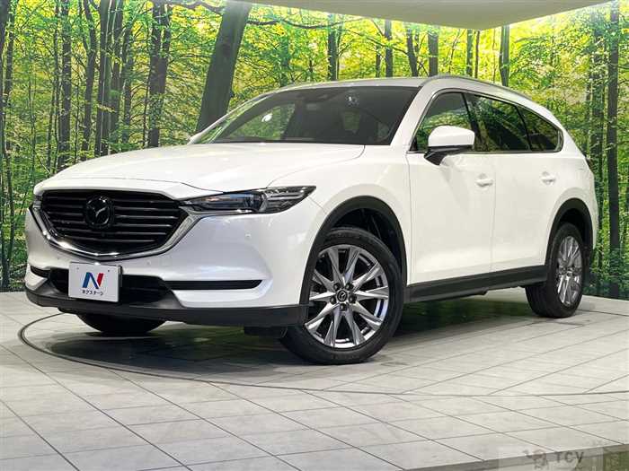 2019 Mazda CX-8