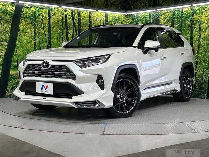 2020 Toyota RAV4