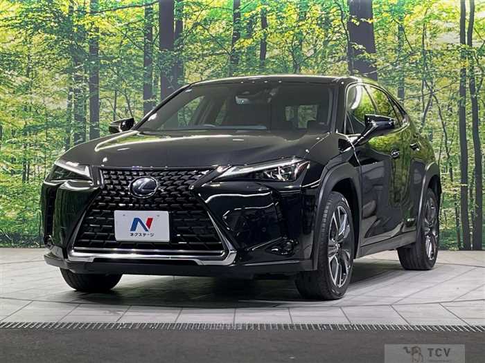 2019 Lexus Other