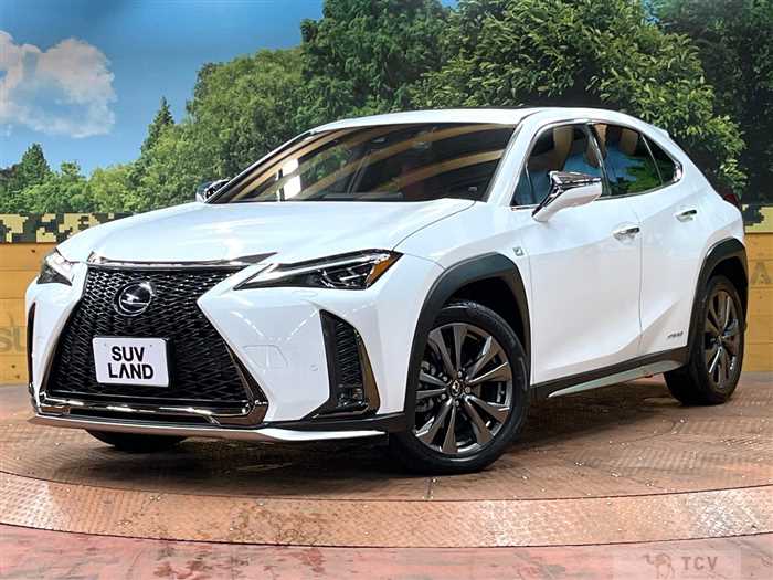2020 Lexus Other