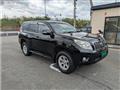 2011 Toyota Land Cruiser Prado