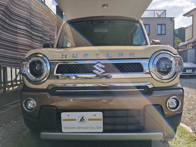 2023 Other All Other All