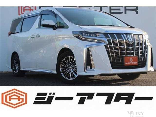 2020 Toyota Alphard G