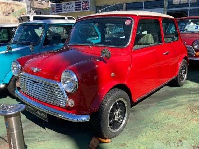 1993 Rover Mini