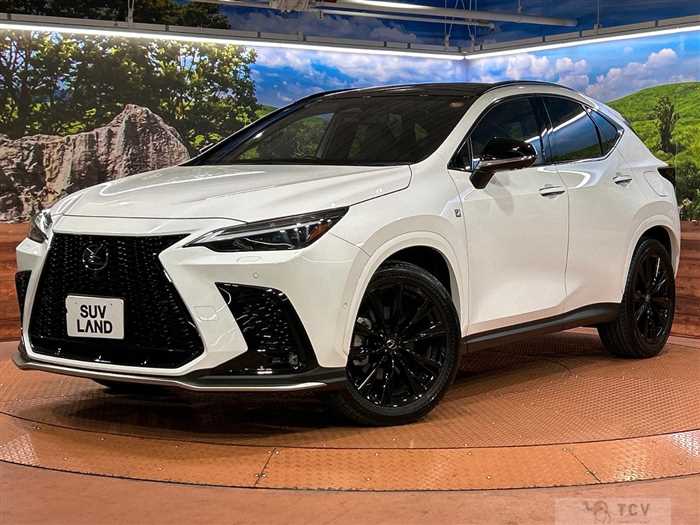 2023 Lexus NX