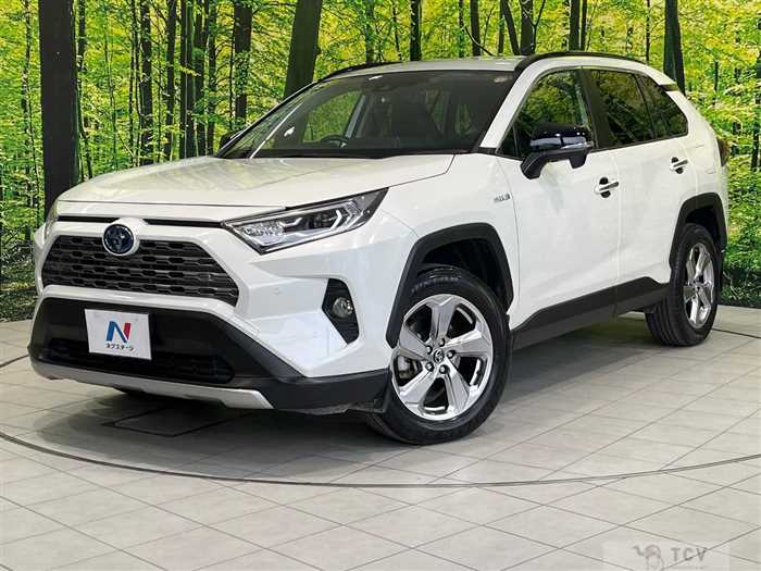 2019 Toyota RAV4