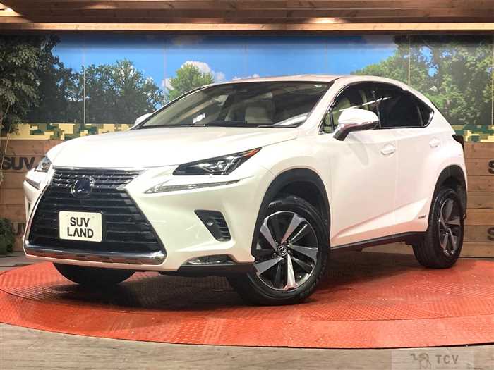 2019 Lexus NX