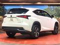 2019 Lexus NX