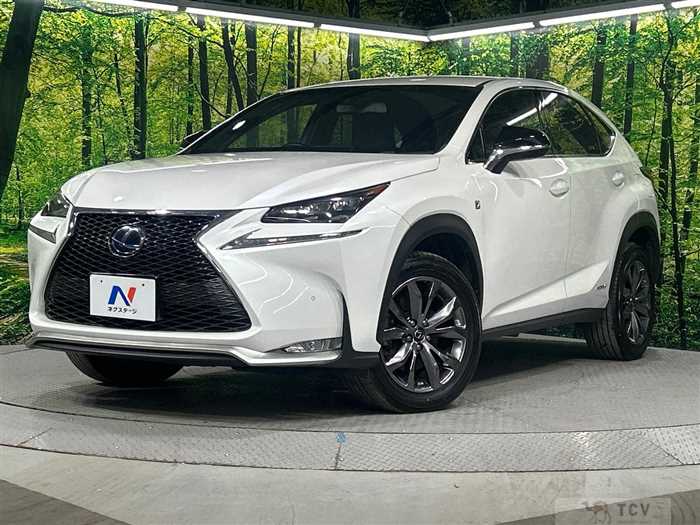 2016 Lexus NX