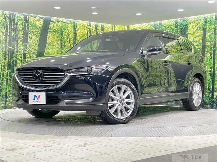 2018 Mazda CX-8