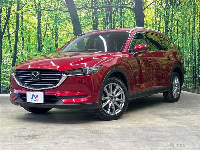 2018 Mazda CX-8