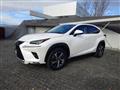 2020 Lexus NX