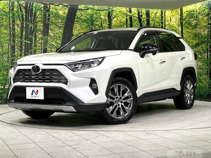 2020 Toyota RAV4