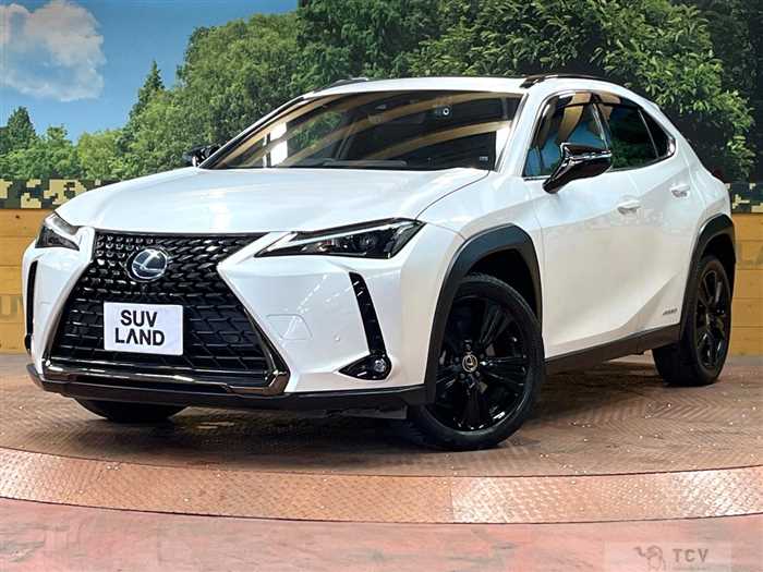 2020 Lexus Other