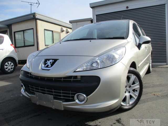 2008 Peugeot 207