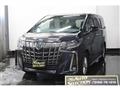 2020 Toyota Alphard G