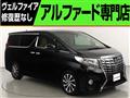 2015 Toyota Alphard G