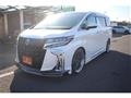 2020 Toyota Alphard G