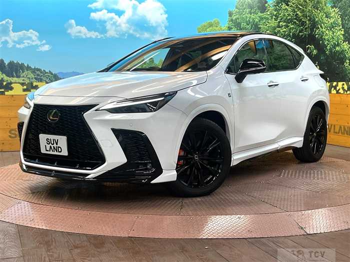 2022 Lexus NX
