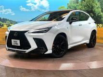 2022 Lexus NX