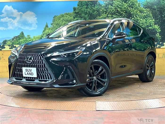 2023 Lexus NX