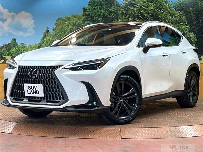 2023 Lexus NX