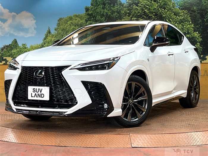 2023 Lexus NX