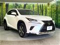 2019 Lexus NX