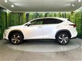 2019 Lexus NX